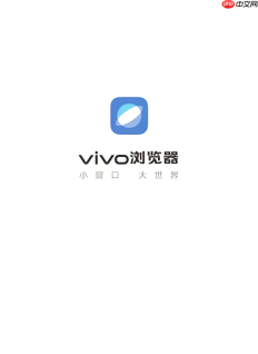 vivo浏览器无法上传图片怎么办