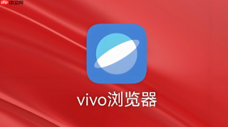vivo浏览器图片加载模糊如何解决