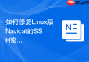 如何修复Linux版Navicat的SSH密钥权限错误