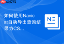 如何使用Navicat自动导出查询结果为CSV