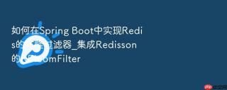 如何在spring boot中实现redis的布隆过滤器_集成redisson的rbloomfilter