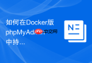 如何在Docker版phpMyAdmin中持久化自定义主题