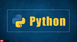 如何解决Python NumPy读取大型CSV文件时加载速度过慢的问题？