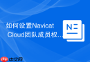 如何设置Navicat Cloud团队成员权限
