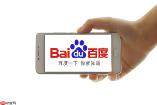 百度浏览器如何排查是浏览器问题还是网站本身故障?
