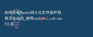 如何定位Redis持久化文件损坏导致无法启动_使用redis-check-aof工具