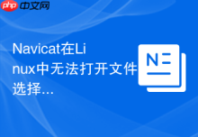 Navicat在Linux中无法打开文件选择器怎么办