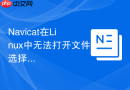 Navicat在Linux中无法打开文件选择器怎么办