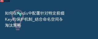 如何在redis中配置针对特定前缀key的保护机制_结合命名空间与淘汰策略