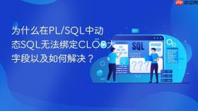 为什么在pl/sql中动态sql无法绑定clob大字段以及如何解决？