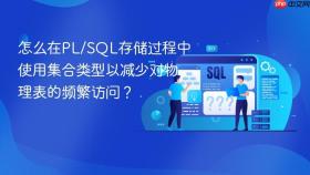 怎么在pl/sql存储过程中使用集合类型以减少对物理表的频繁访问？