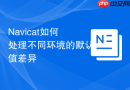 Navicat如何处理不同环境的默认值差异