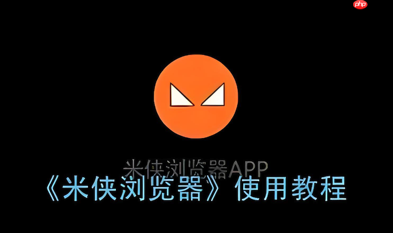 米侠浏览器打开大体积网页崩溃时该如何调整内存分配限制