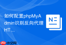 如何配置phpMyAdmin识别反向代理HTTPS？