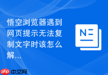 悟空浏览器遇到网页提示无法复制文字时该怎么解决