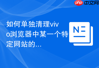 如何单独清理vivo浏览器中某一个特定网站的cookie缓存数据？
