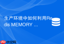 生产环境中如何利用Redis MEMORY DOCTOR分析内存瓶颈