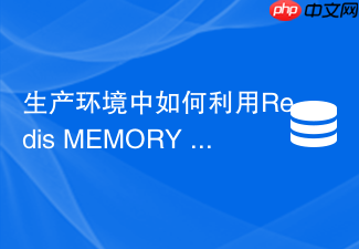 生产环境中如何利用redis memory doctor分析内存瓶颈