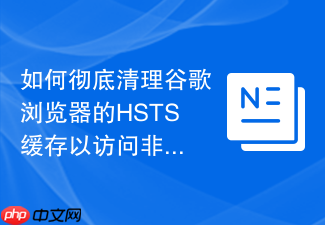 如何彻底清理谷歌浏览器的hsts缓存以访问非加密站点?