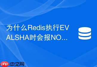 为什么redis执行evalsha时会报noscript错误？
