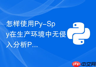 怎样使用py-spy在生产环境中无侵入分析python性能?
