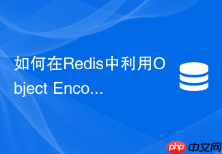 如何在redis中利用object encoding命令排查数据类型的底层编码转换