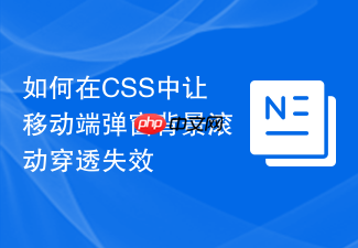 如何在css中让移动端弹窗背景滚动穿透失效