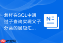 怎样在SQL中通过子查询实现父子分类的层级汇总
