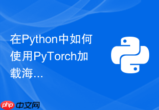 在python中如何使用pytorch加载海量小图像而不拖慢io?