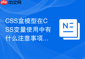 css盒模型在css变量使用中有什么注意事项？