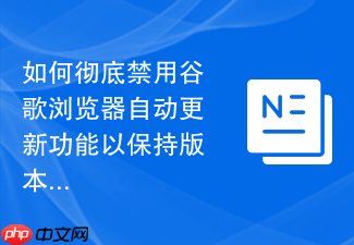 如何彻底禁用谷歌浏览器自动更新功能以保持版本稳定?