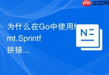 为什么在Go中使用fmt.Sprintf拼接SQL会有注入风险？