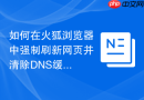 如何在火狐浏览器中强制刷新网页并清除dns缓存?