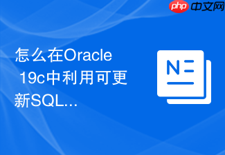 怎么在oracle 19c中利用可更新sql视图简化前端逻辑?