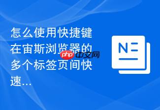 怎么使用快捷键在宙斯浏览器的多个标签页间快速切换?
