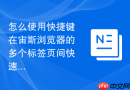 怎么使用快捷键在宙斯浏览器的多个标签页间快速切换？