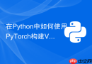 在Python中如何使用PyTorch构建Vision Transformer骨干网？