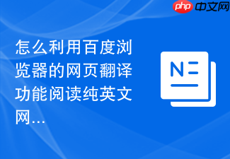 怎么利用百度浏览器的网页翻译功能阅读纯英文网站？