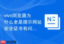 vivo浏览器为什么老是提示网站安全证书有问题该怎么跳过？