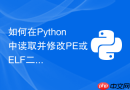 如何在Python中读取并修改PE或ELF二进制文件的头部信息？