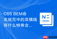 CSS BEM命名规范中的双横线有什么特殊含义？