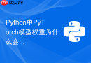 python中pytorch模型权重为什么会出现nan梯度及如何调试?