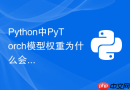 Python中PyTorch模型权重为什么会出现NaN梯度及如何调试？