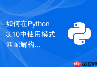 如何在python3.10中使用模式匹配解构嵌套字典和列表?
