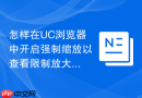 怎样在uc浏览器中开启强制缩放以查看限制放大的网页?