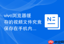 vivo浏览器缓存的视频文件究竟保存在手机内存的哪个文件夹里？