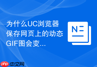 为什么uc浏览器保存网页上的动态gif图会变成静态?