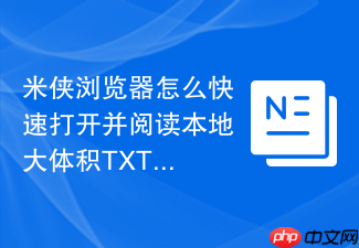 米侠浏览器怎么快速打开并阅读本地大体积txt文档?