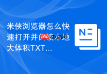 米侠浏览器怎么快速打开并阅读本地大体积TXT文档？