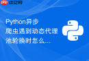 Python异步爬虫遇到动态代理池轮换时怎么高效调度？